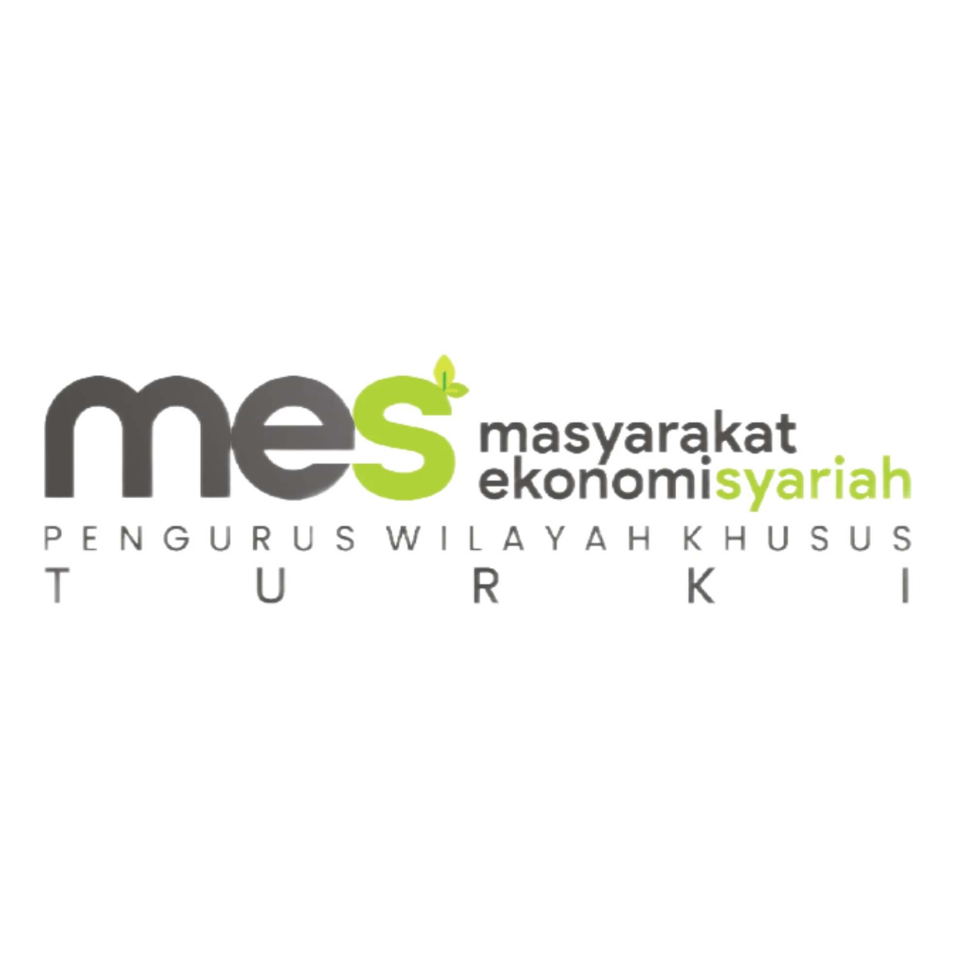 Partner Logo 7