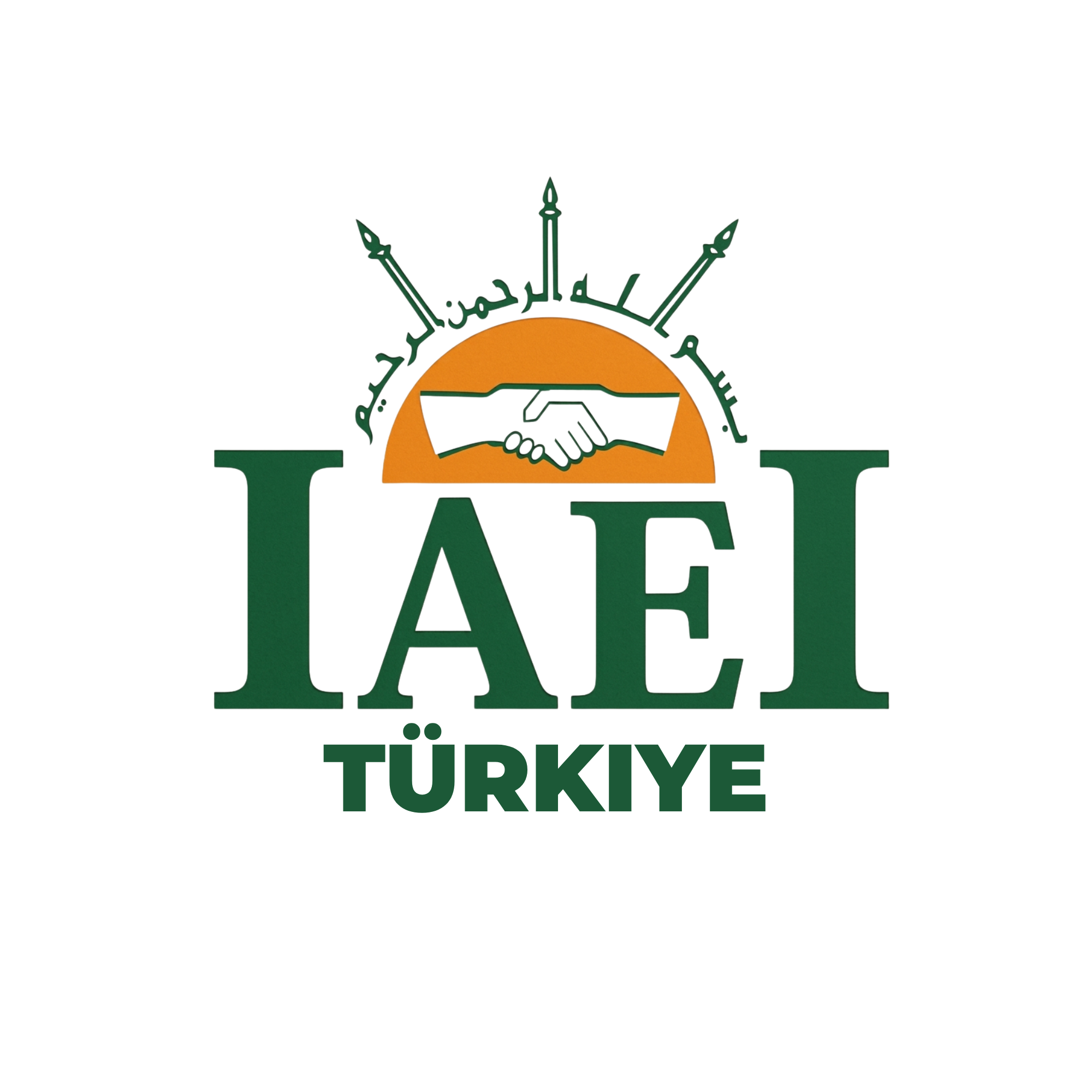 Logo IAEI Turkiye